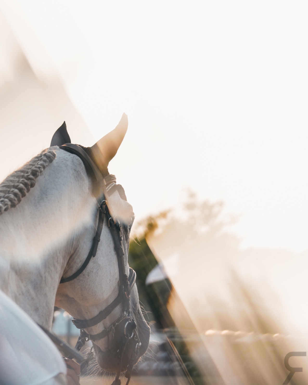 Longines Deauville