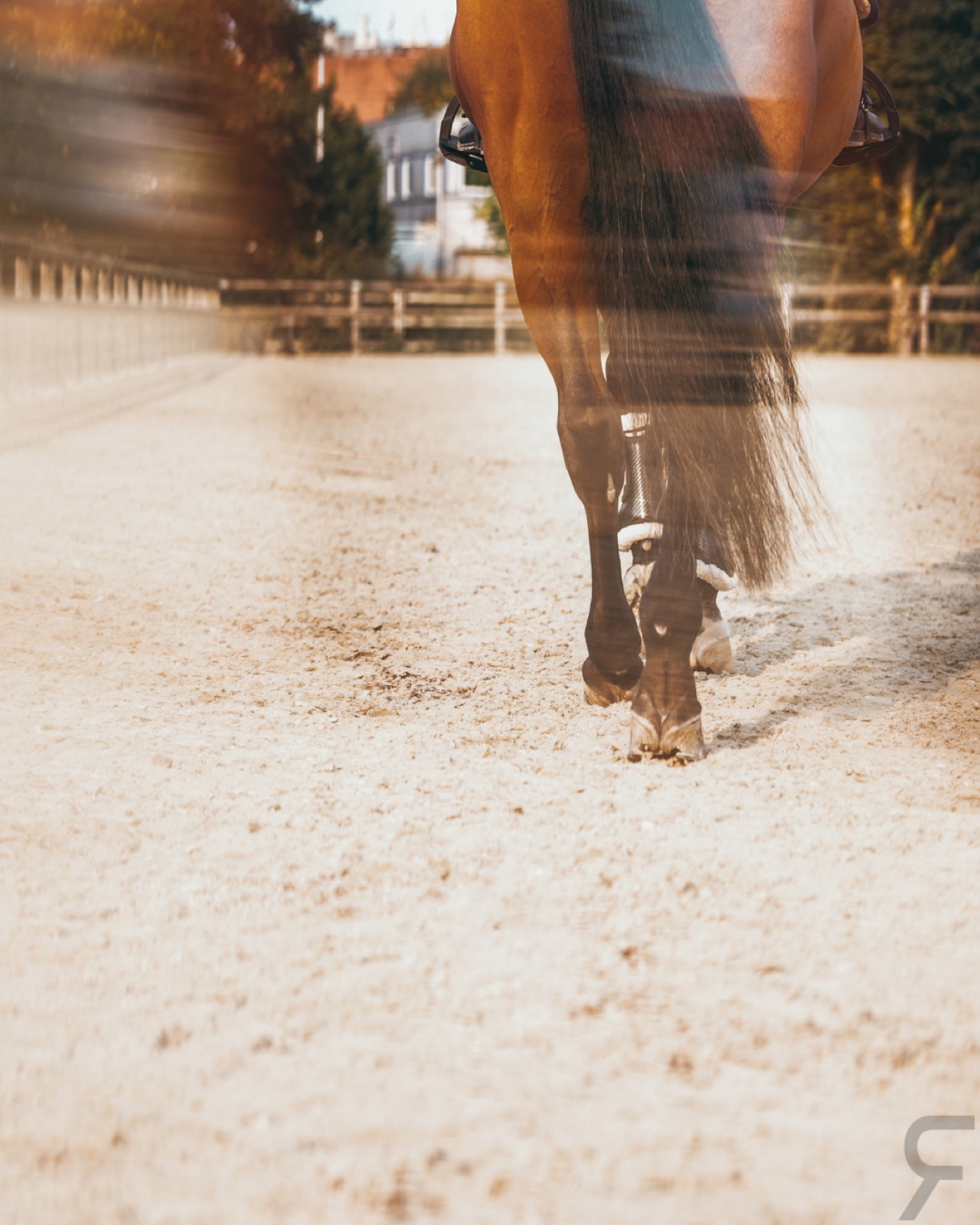 Longines Deauville